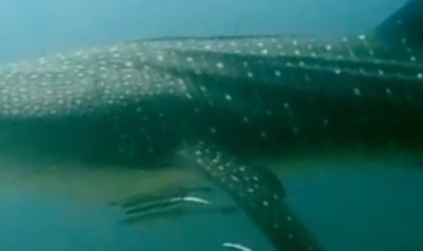 8ad34ffd-26bf-45f9-b76a-b57a46b10028