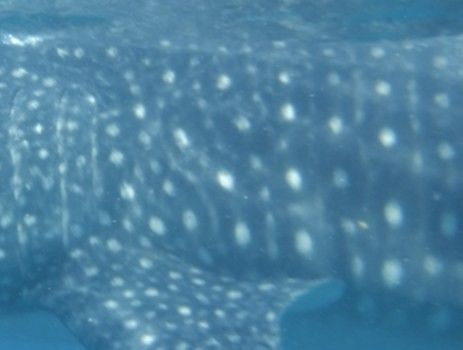 c7d4871e-8a66-464d-b819-cbf0e562a760