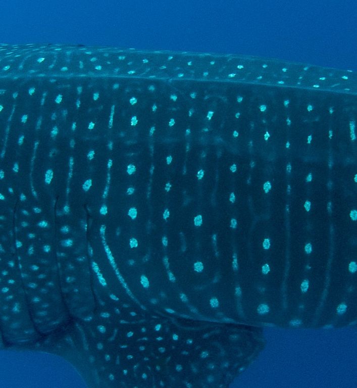 d46ff334-6c73-4337-a203-be4ec4899e41