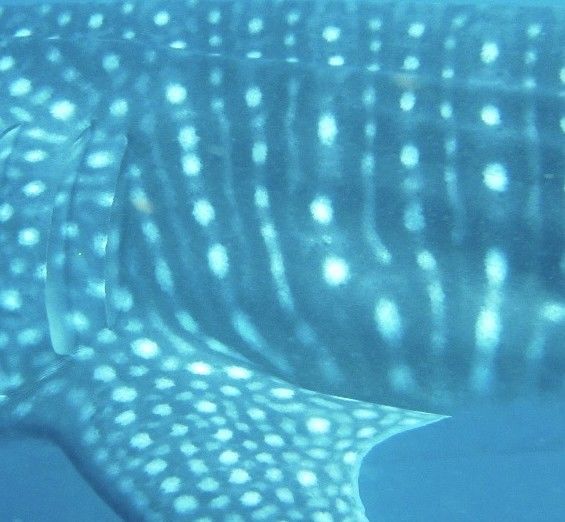 f4da3f78-3c67-4019-879d-c4e684a595fe