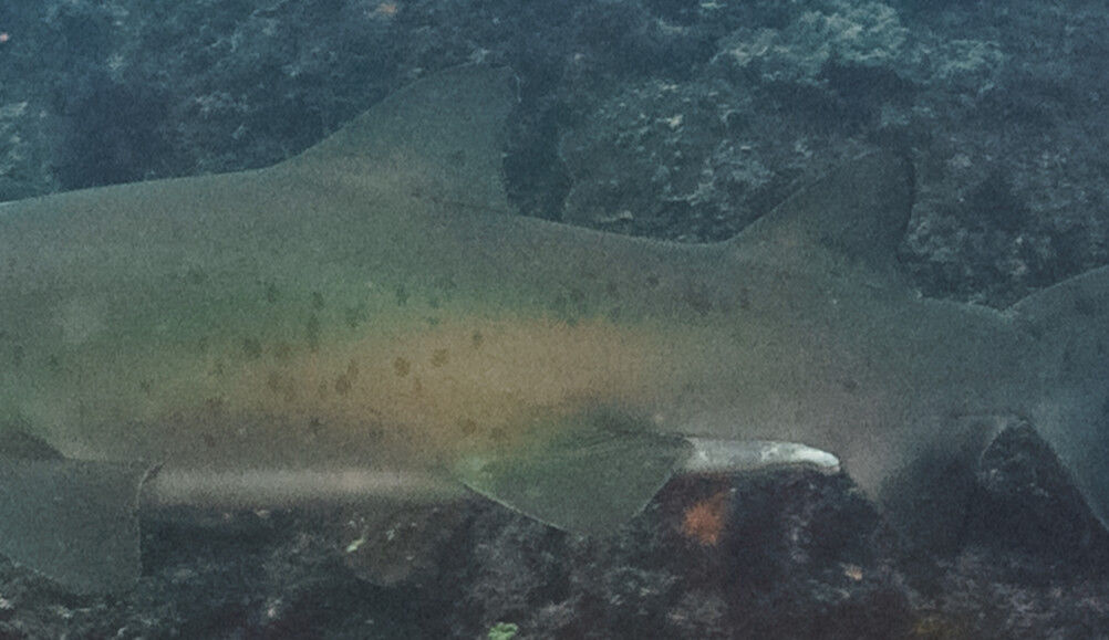 86af1e17-159c-4a7e-8c90-2d3f939bb50f