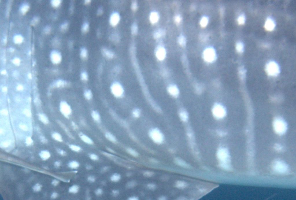 c4e366e8-be9a-4edb-b7af-cb1b6feff7c3