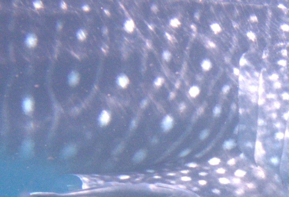 c4e366e8-be9a-4edb-b7af-cb1b6feff7c3