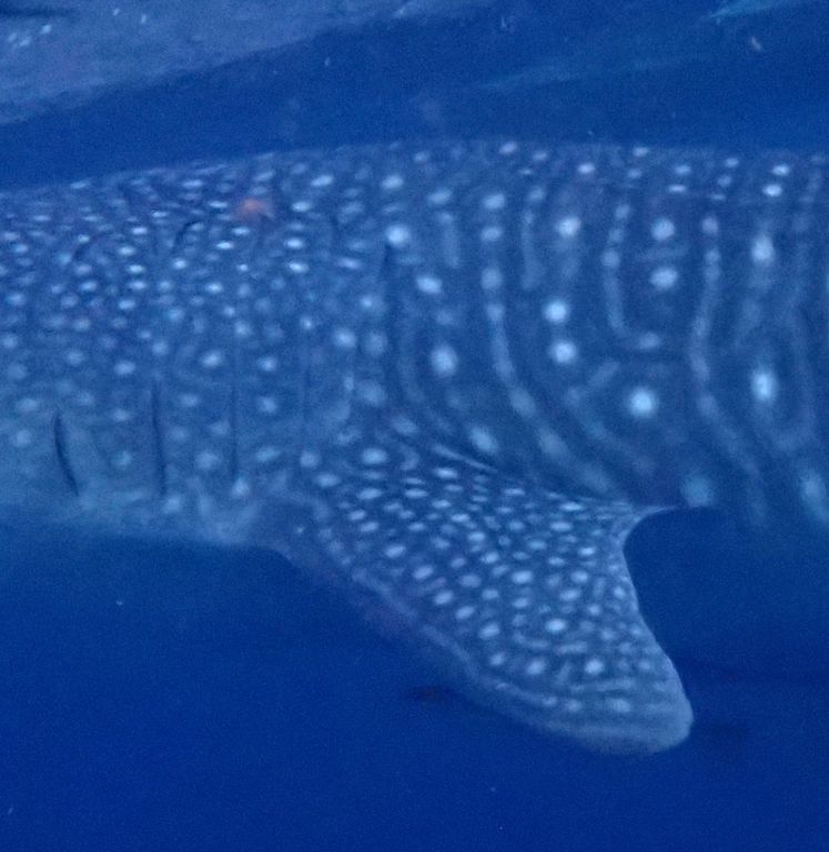 b1b91269-05f7-436c-b664-6b6e3ecce849