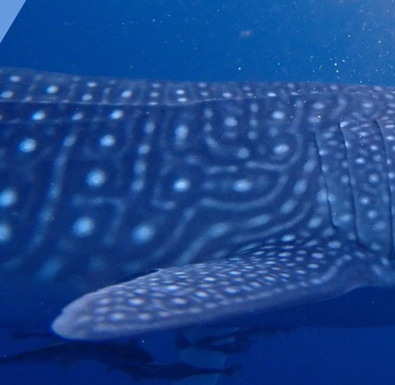 b1b91269-05f7-436c-b664-6b6e3ecce849