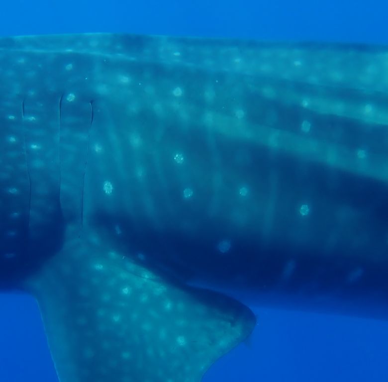 264b30b1-a508-41a5-8cef-b07b29cd0886