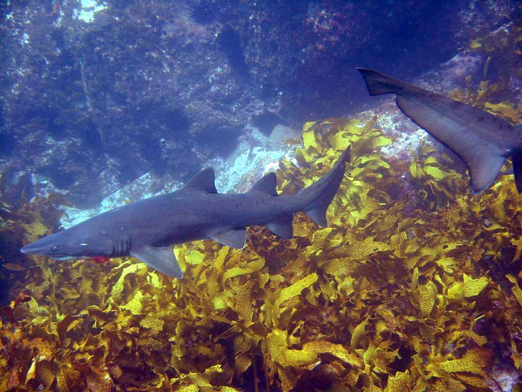 55b8f96e-326e-40b2-bcd7-cdb28964b1cf