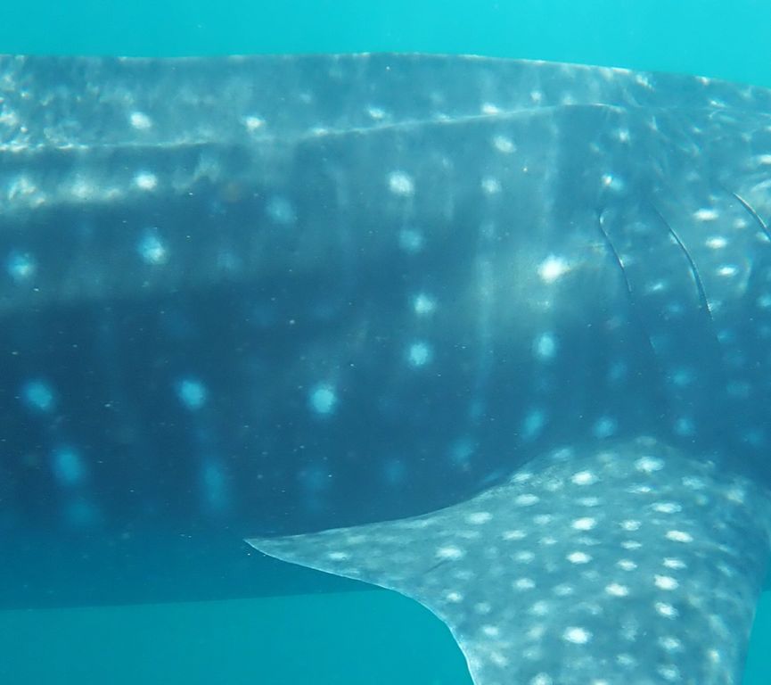 dc61db6b-2672-475c-8f27-1cb8cd8d232e