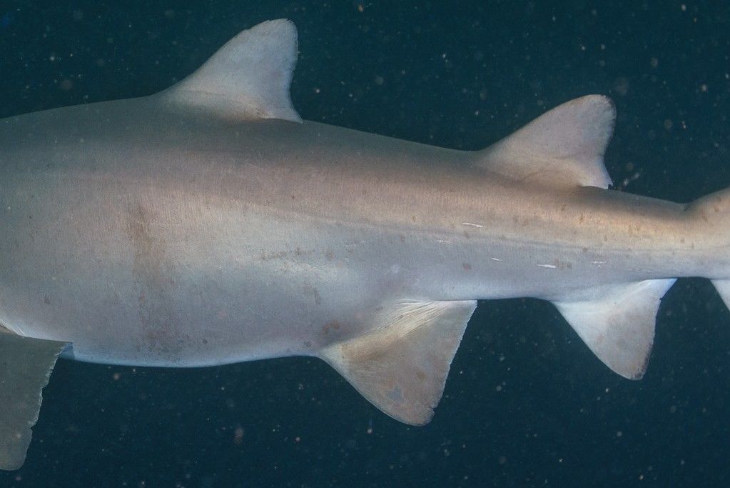 8a59c3ef-0c6e-44ea-b98d-ff864d0579ca