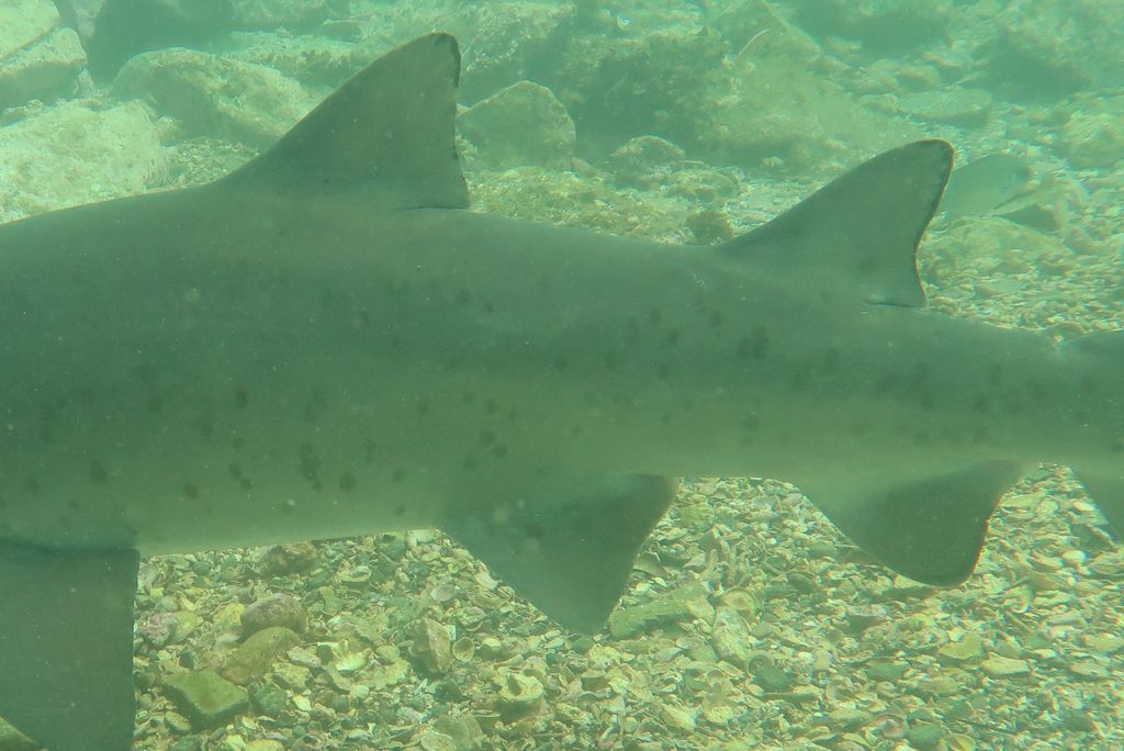 4c8c7576-f10f-4f72-8c92-8a9f4a95afdd