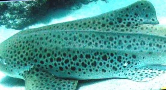 87499b36-e572-4e23-b4a7-18e9362ce3b5