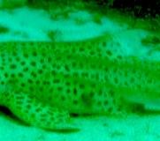 064e80e2-523c-43fa-bc2a-ad8ed8900996