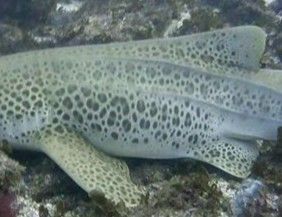 15a0005b-660d-4473-a3cd-74482c0aea94