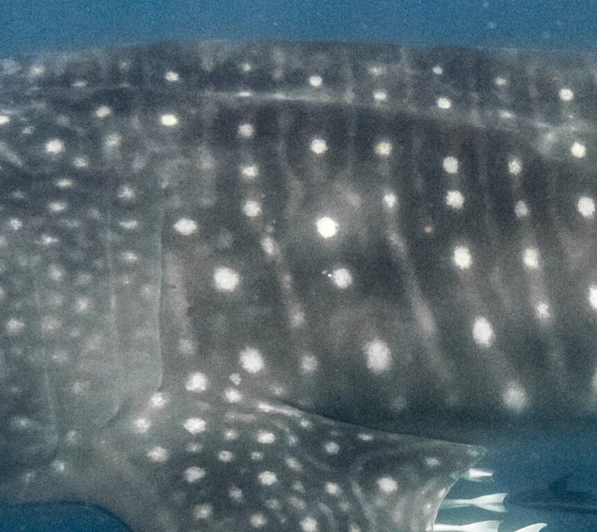 0a3d9d00-6c77-4e1b-8bf6-69559b4eb94a