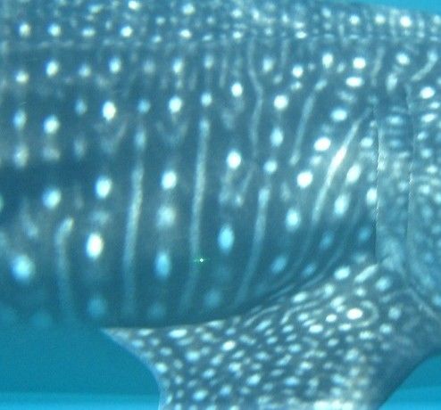 1c6584c0-0dff-4857-b65f-f35ec027cbb4