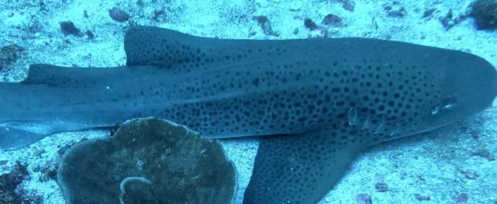 ca8a7900-ca6f-42d8-9477-4051e1cebc88