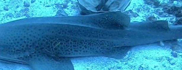 ca8a7900-ca6f-42d8-9477-4051e1cebc88