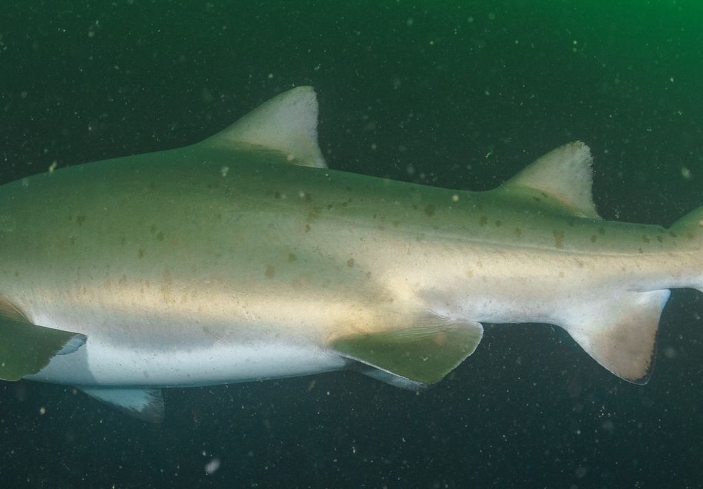 43b385e2-2b22-4903-8c09-95bba7c1350a