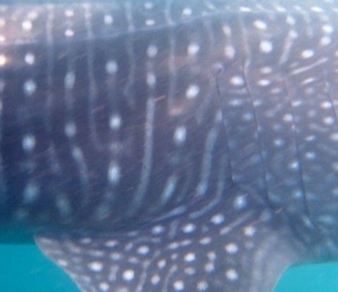 bfc8ec09-27ad-416b-bfa8-92ad711ee172