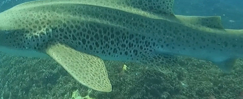 bca42fef-d84a-4ef1-a33a-a37b66d38d1b