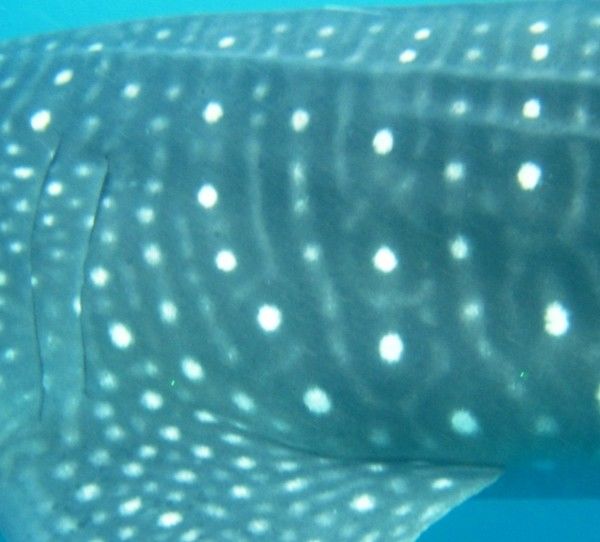 9b2720a0-b6c4-4058-866f-baeee09b75d4