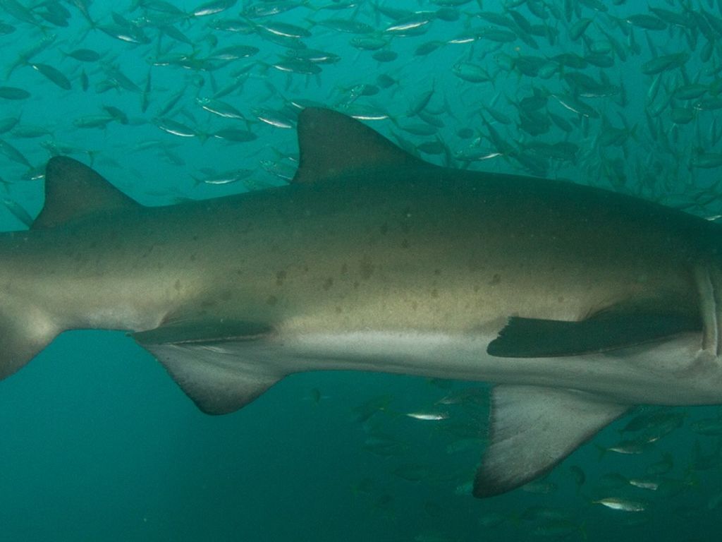 18b0348c-0e25-4a2e-952a-bf373585d8c8