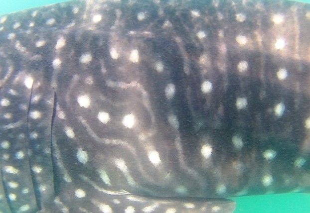 7a92b833-f43b-4a35-b563-20a487bd1f1a