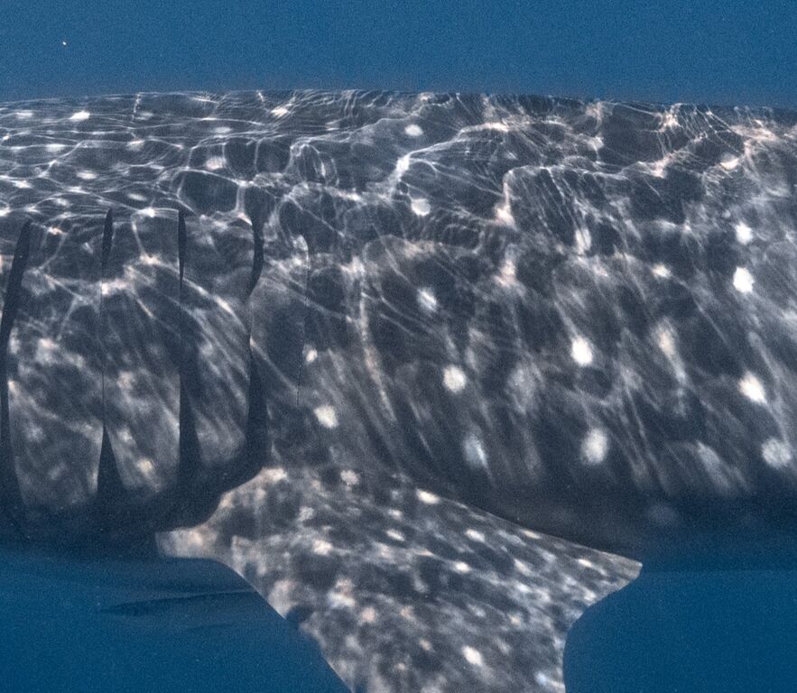 33fd04ea-5af1-4635-8c12-7e6a7dce79fc