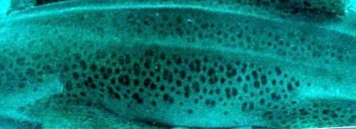 c01b04ad-2334-44d7-86de-48d872a2e0d9