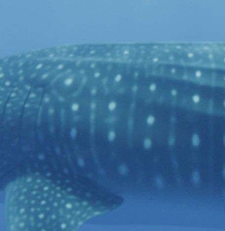 f42bc82a-f7a6-43bf-be5e-5d3a73e3d7cd