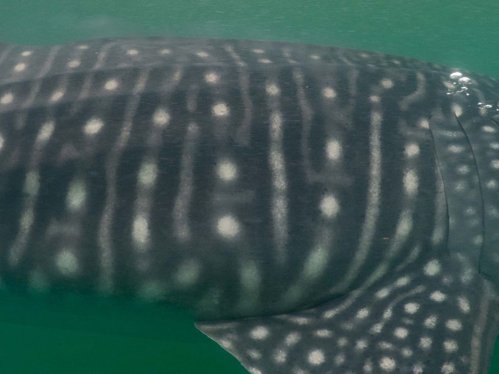 8ce6fb47-3d06-4e06-a528-2d721f58e155