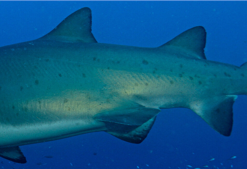 93a89efd-81d3-466d-be04-69cf262fb2b8