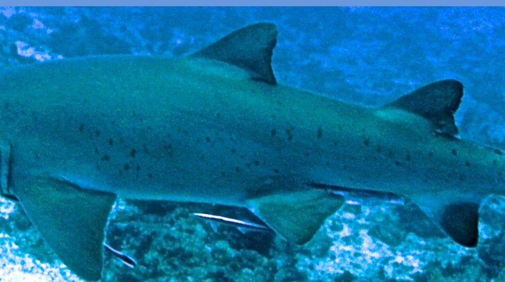 2edc8732-09fb-4470-a7ba-be4eeda0ec5c