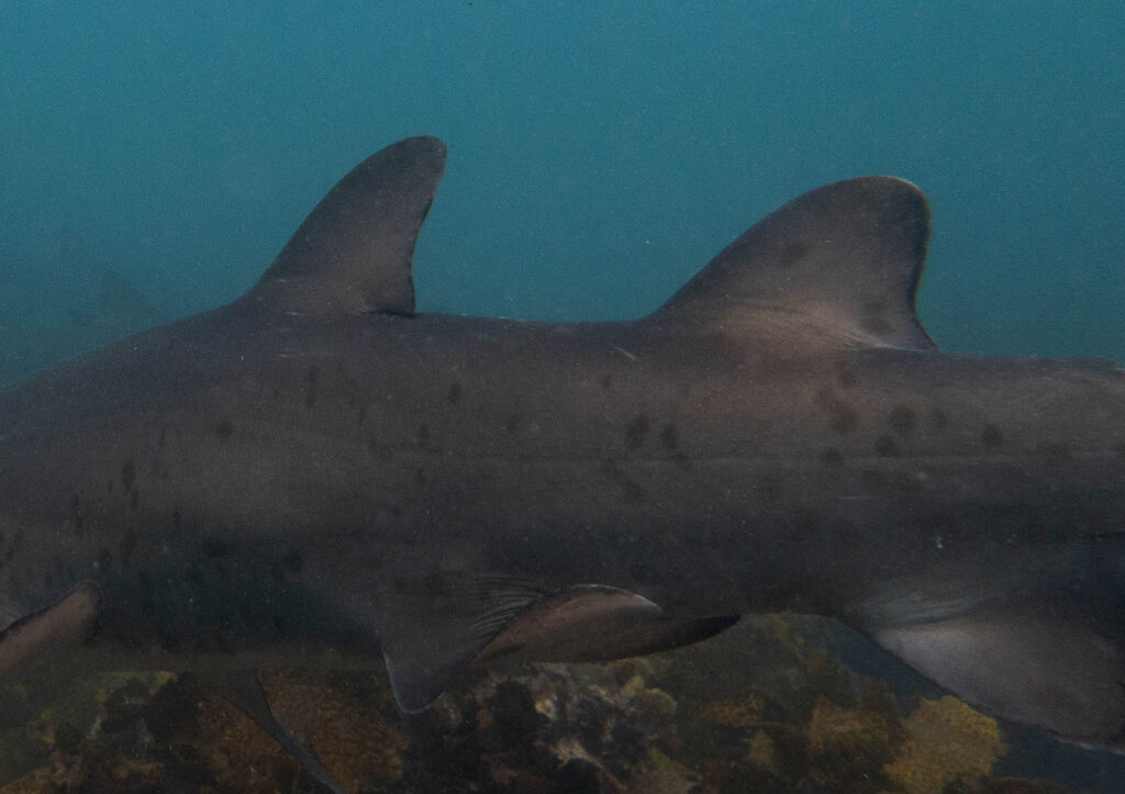 319b7026-8634-4443-889e-b721caa9c486