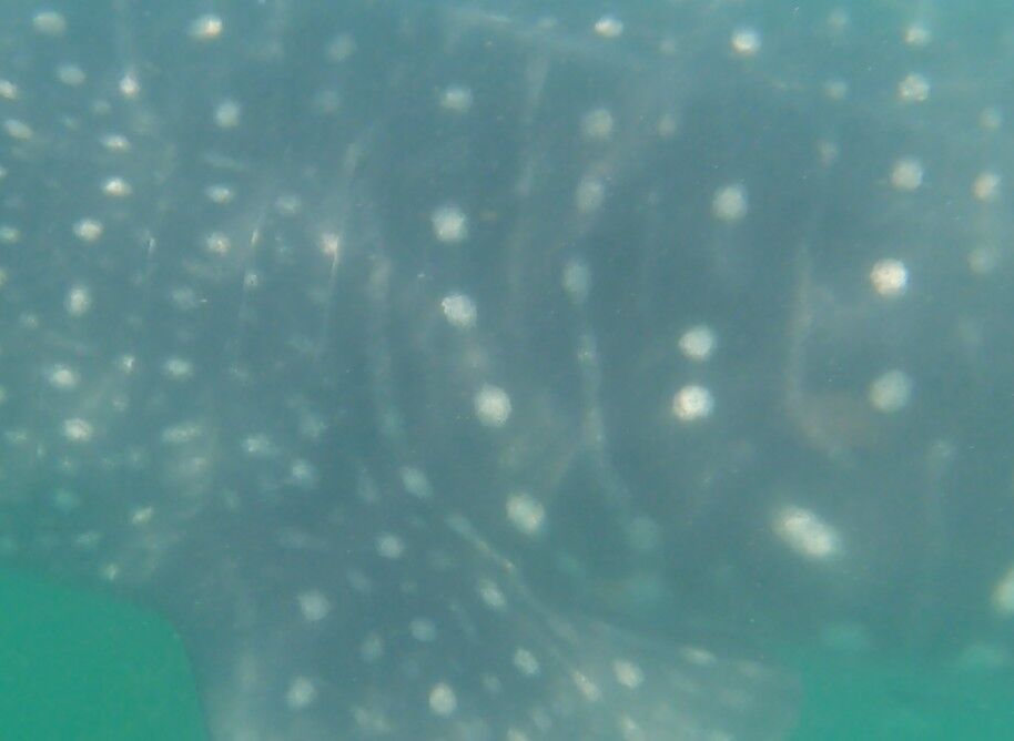 3aff696f-cc27-4b5a-8275-5aee5ca162dd