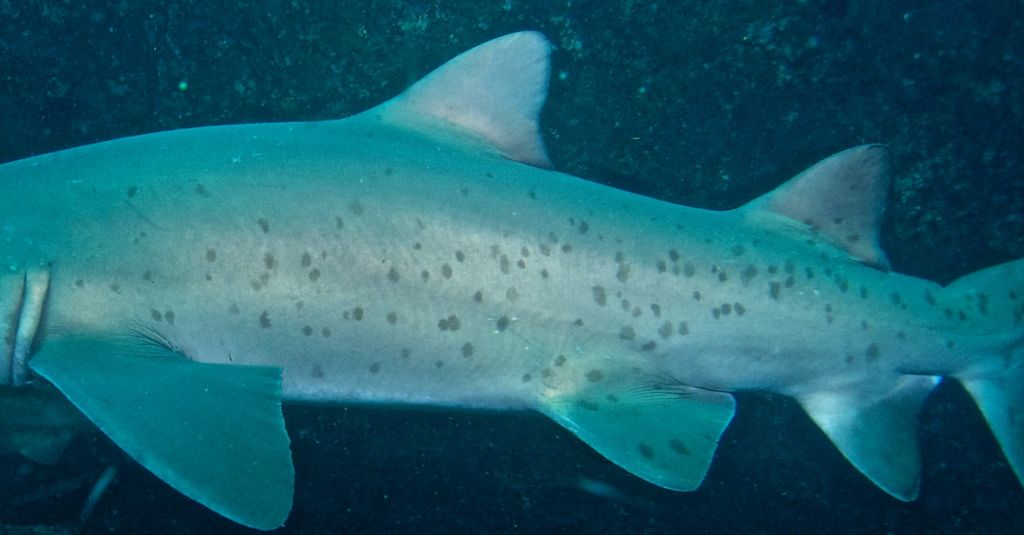 62d8a0a8-e374-4467-a889-9a4bea22cd45