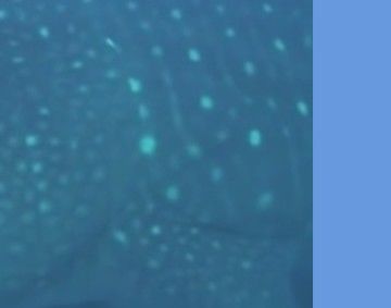 ef2e0182-3ac5-424b-b758-6fce4f423004