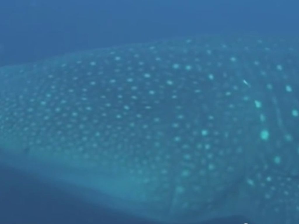 ef2e0182-3ac5-424b-b758-6fce4f423004