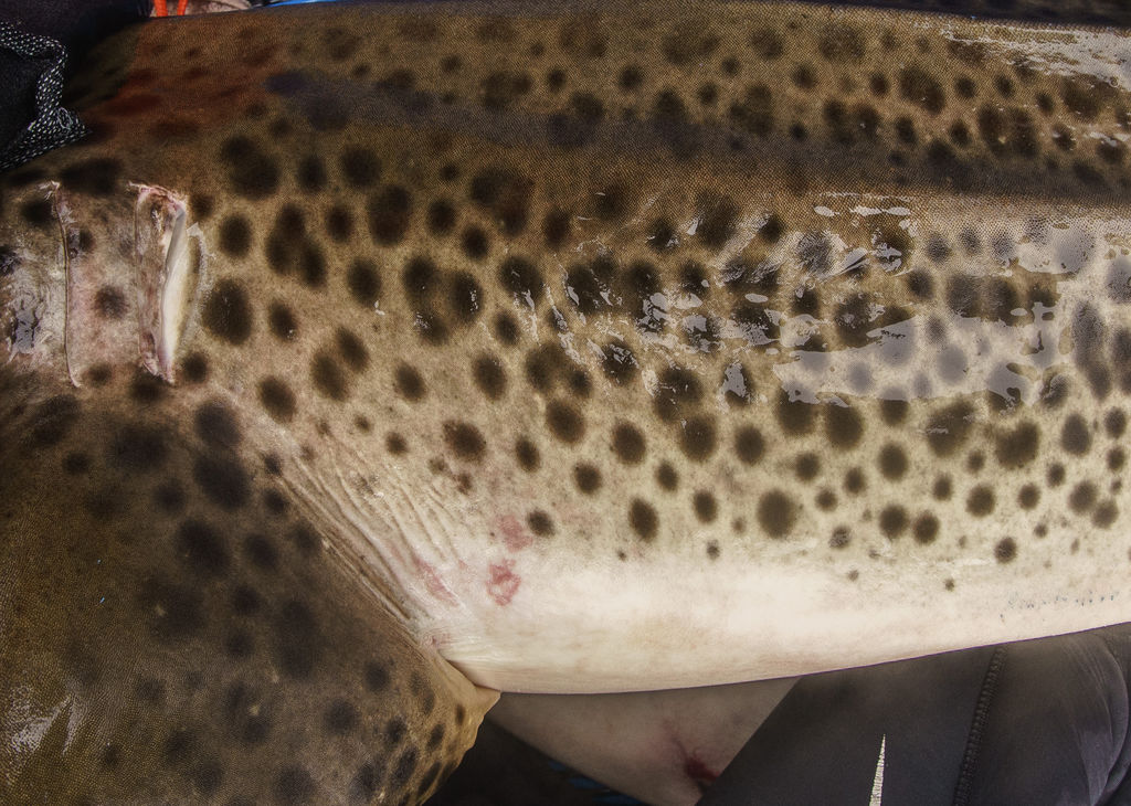 71d49ab9-c9e5-4a59-ab7a-79360b4d2a40