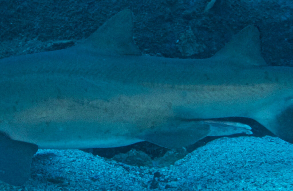 41e41af3-965e-42e7-a066-8aac04413561