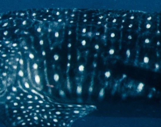 03d043a4-eb84-4b61-aac9-c77f42358f20