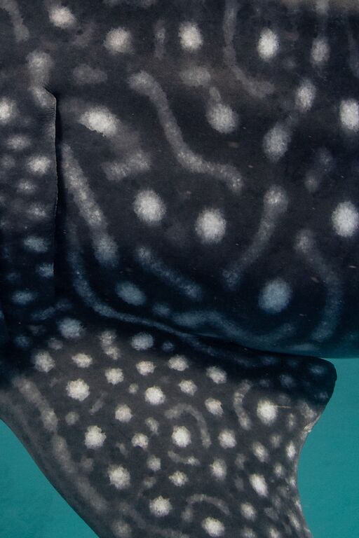 f7fd11da-f29a-439c-93bf-7962f700cddf