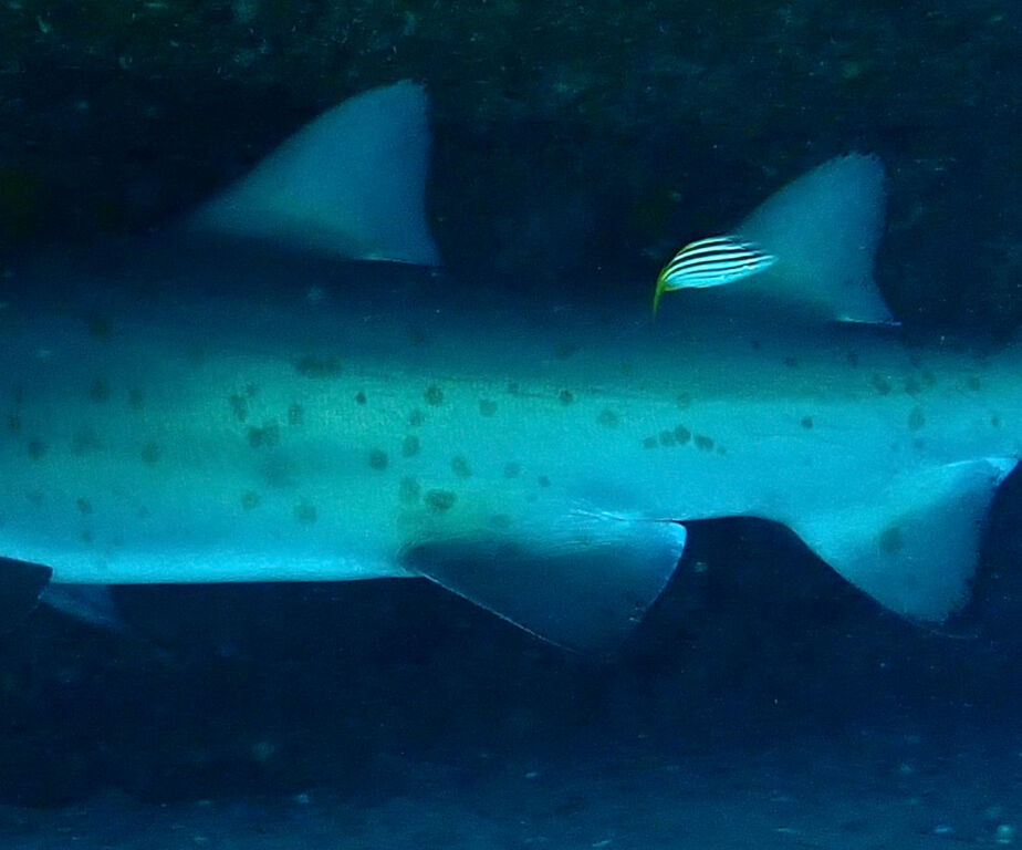 f7f6e6b3-02e2-4701-a66b-27e1d4629868