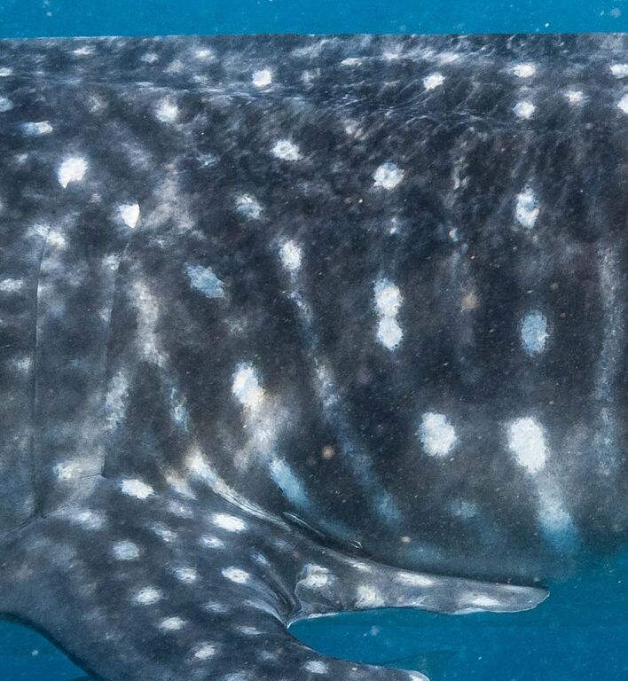 6bce0756-5836-410e-b233-1c70ae2bae1a