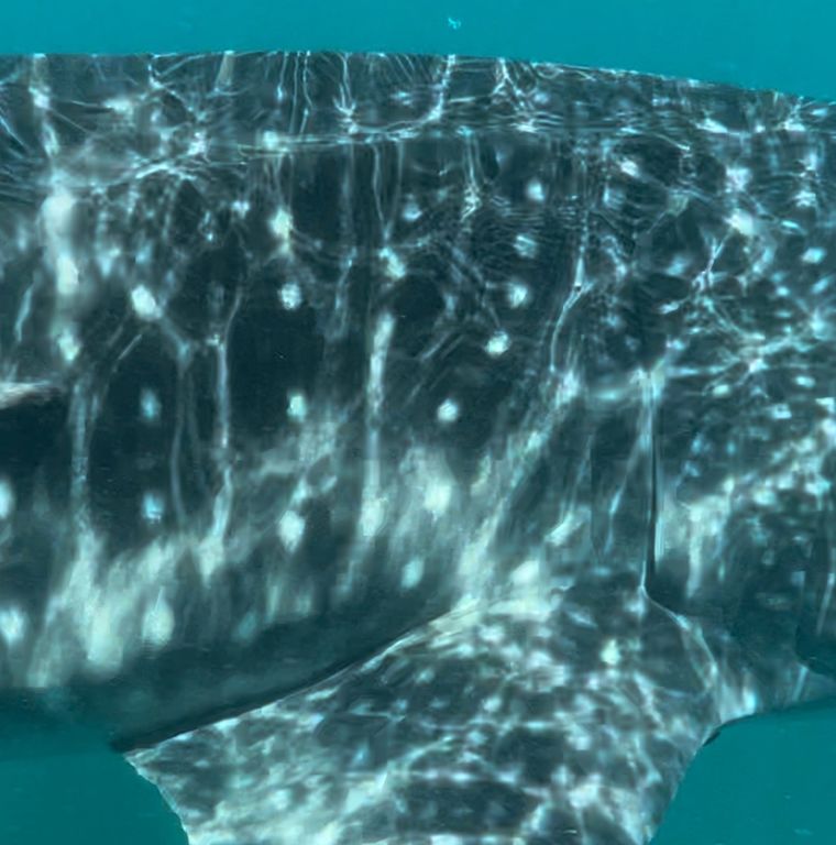 d54e6670-4c48-456d-addf-92ab64a4b8e7