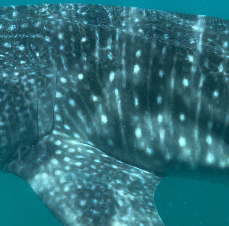 d54e6670-4c48-456d-addf-92ab64a4b8e7