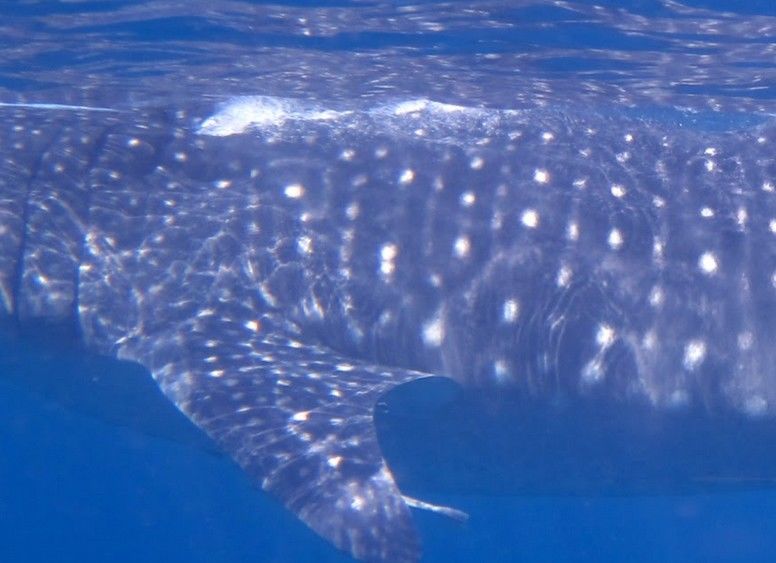 69463e01-a91b-4566-8712-b0bc245fafbc