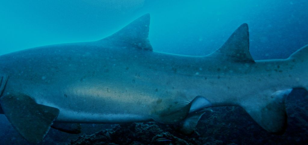 bc95eede-90b7-474c-9681-463159492dd9