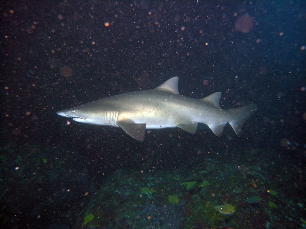 d3759339-8130-47b6-bea6-07d94f9b07cd