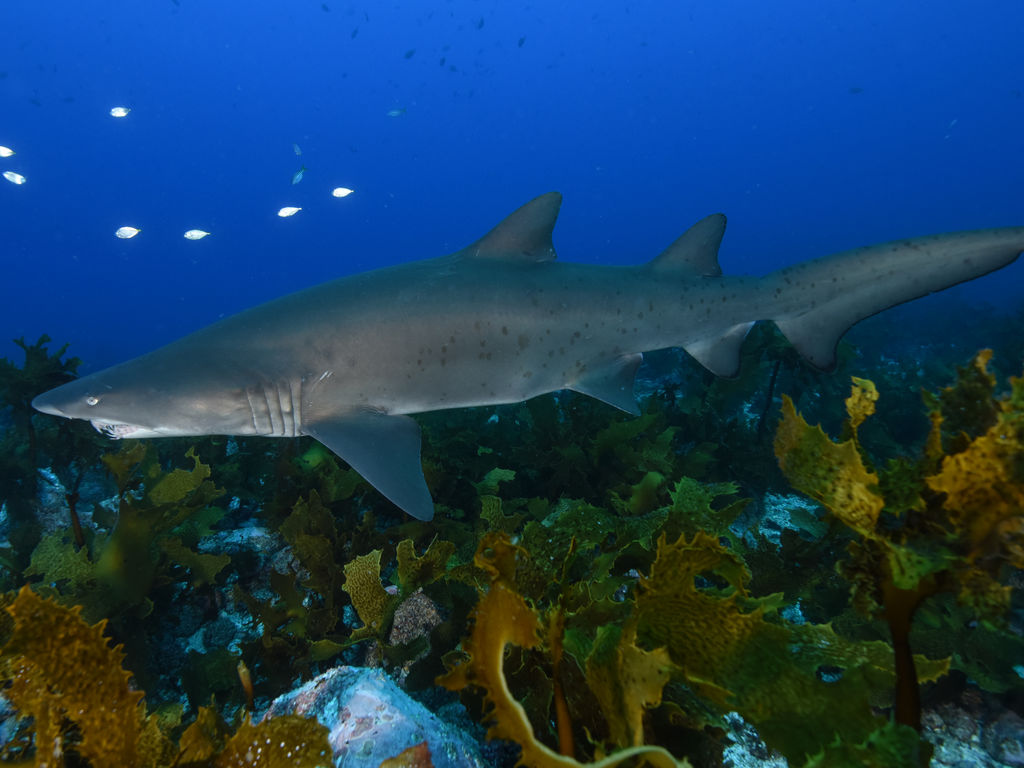 6b1b94cb-9994-4335-9b20-e870b1cf7ad1